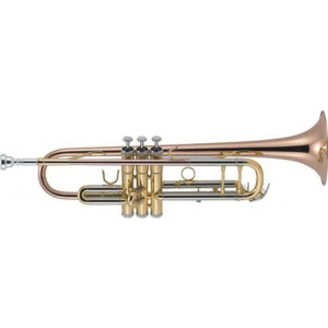 J. MICHAEL TR450 Bb trumpet
